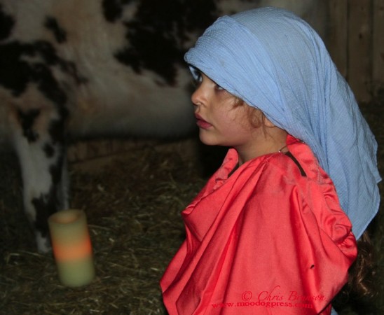 A living nativity on Dec. 14, 2012 provided some much needed light in the form of a community performance of a simple story on a dark day.