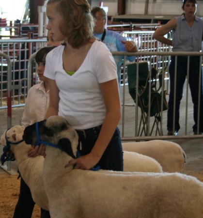 And we show sheep. Moo Dog Press photo.