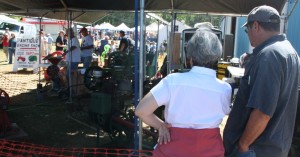 At the fair, much to see.