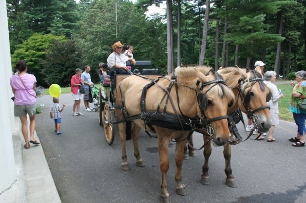 Carriage rides by Allegra Farm too. Photo © Moo Dog Press.