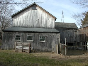 Dudley Farm, Guilford. Moo Dog Press Magazine