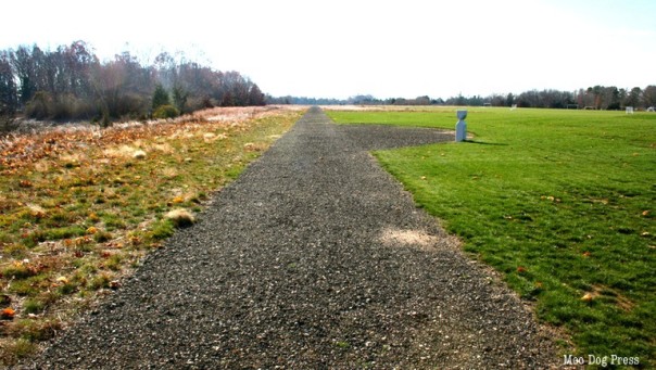 Salt Meadow Park and its well designed walkways that echo the former Griswold Airport. Photo by Chris Brunson for Moo Dog Press Magazine.