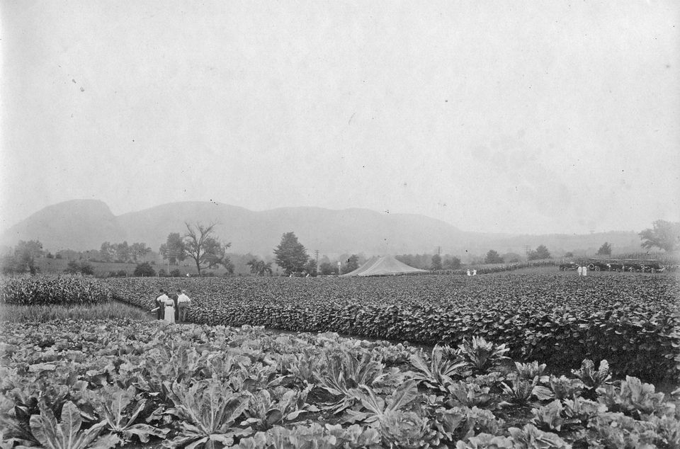 Sleeping Giant from Lockwood Farm, CAES, 1913 linked to original post via FB.