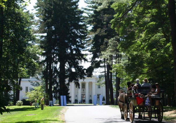 A horse-drawn wagon ride by Allegra Farm is a perfect accent to the Wadsworth Mansion Open Air Market and Festival. Photo, Moo Dog Press Magazine.