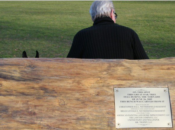 Great oak, felled by the tornado-like storm on the green in Wethersfield has been transformed into an canoe-like bench. 'Batman' ears at left belong to a Boston terrier - and the weather changed from mild to Arctic in a matter of hours after this shot.