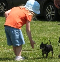 MDP photo of girl and small dog saying hello at a farmers market.