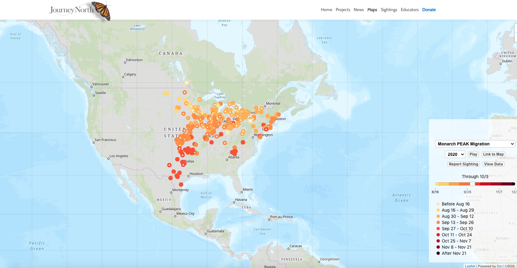 Journey North Monarch migration map.