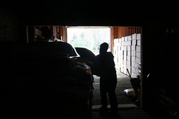 Moving feed in the barn.