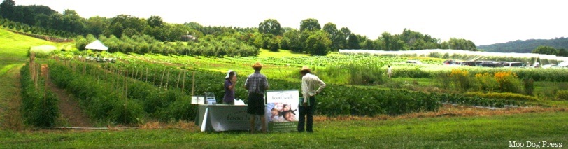 Land and science grow ideas.