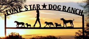 Lone Star Dog Ranch and Dog Ranch Rescue