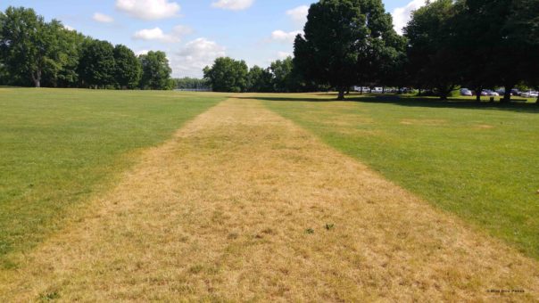 Cove Park Wethersfield, a pathway that is not a path - and stories of the past.