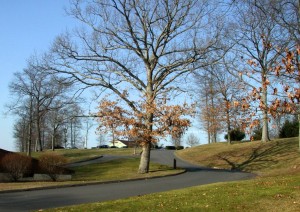 Up to Quarry Ridge, which once was a path to Strickland's Quarry.