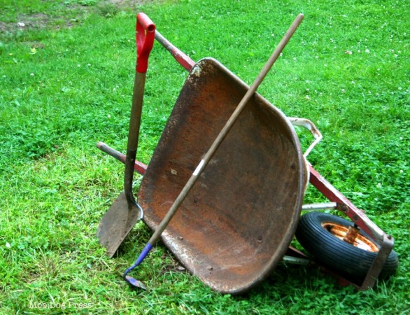 Well-used wheelbarrow with wooden handles worn smooth with use. Hoe. Shovel.