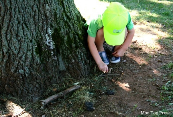 Seen at the CAES Plant Science Day 2014. Earth, sky, trees are good for young humans.