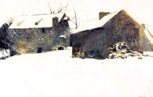 Winter bones captured by Andrew Wyeth.